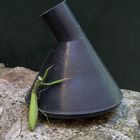 la mante qui voulait manger une pomme avant de mourir 