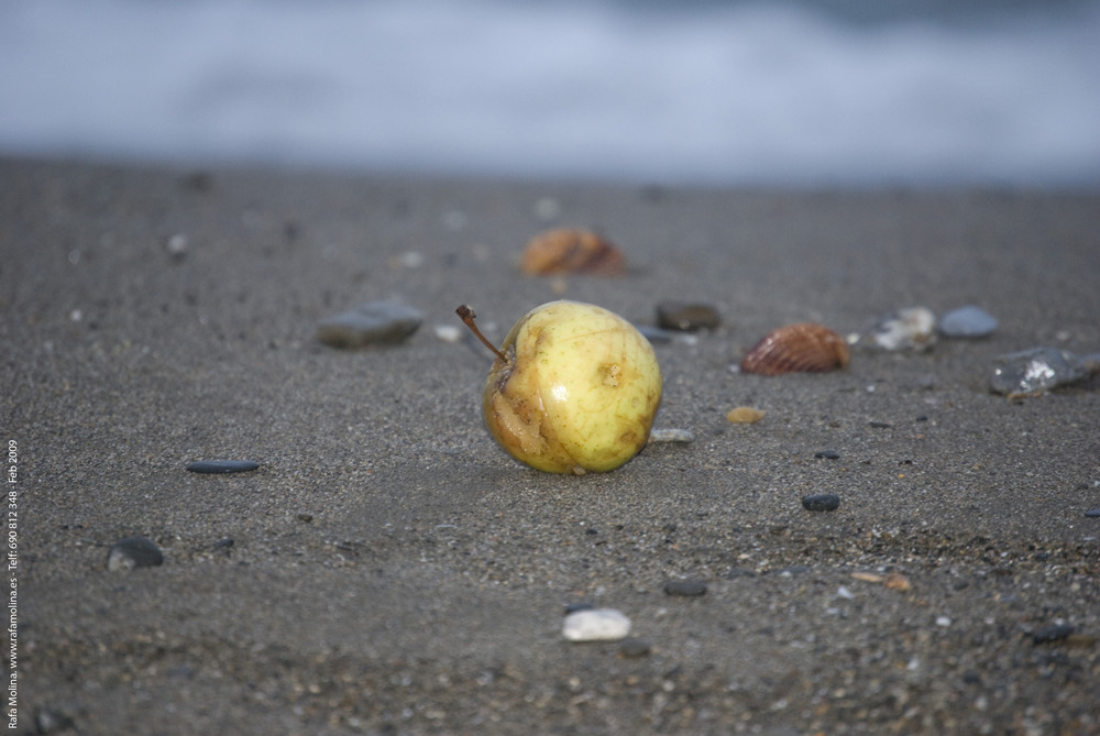 La manzana que llego del mar...