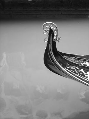 la maravillosa Venecia