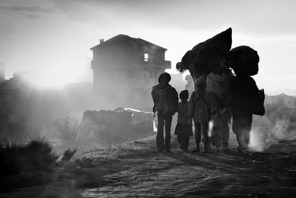 La marche dans la brume