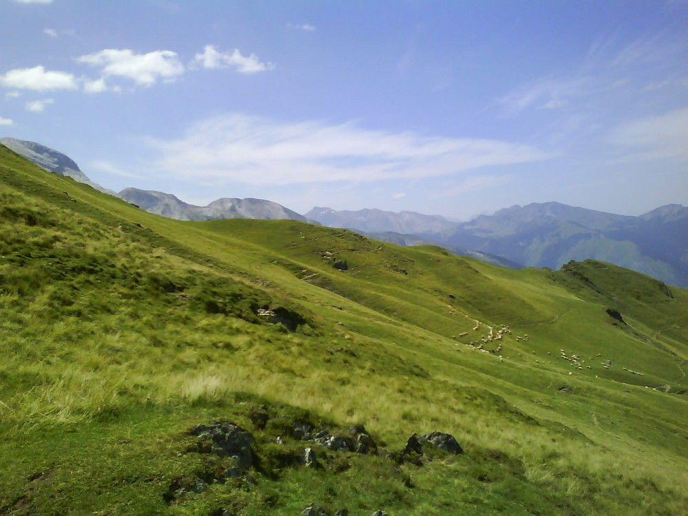 La marche du mouton