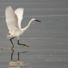 la marche sur l'eau