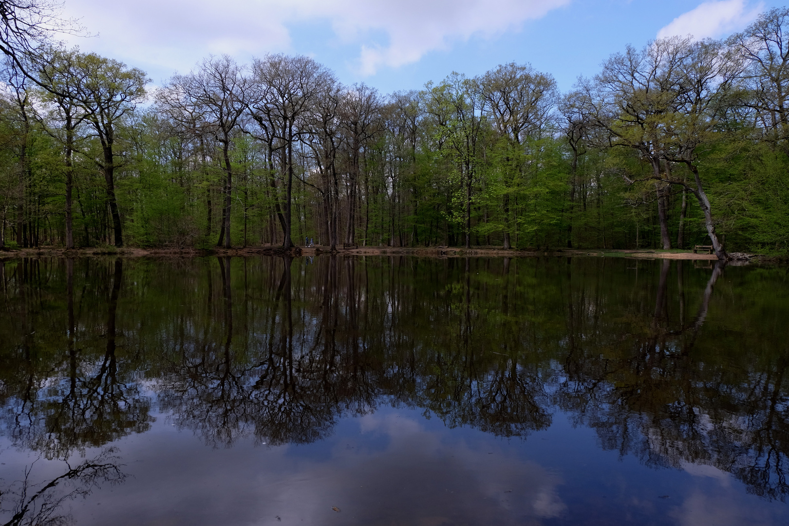 la mare aux canes  