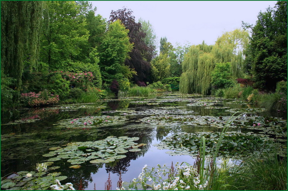 La mare aux nymphéas