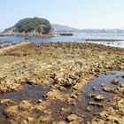 La marea mas baja del año (Donostia)