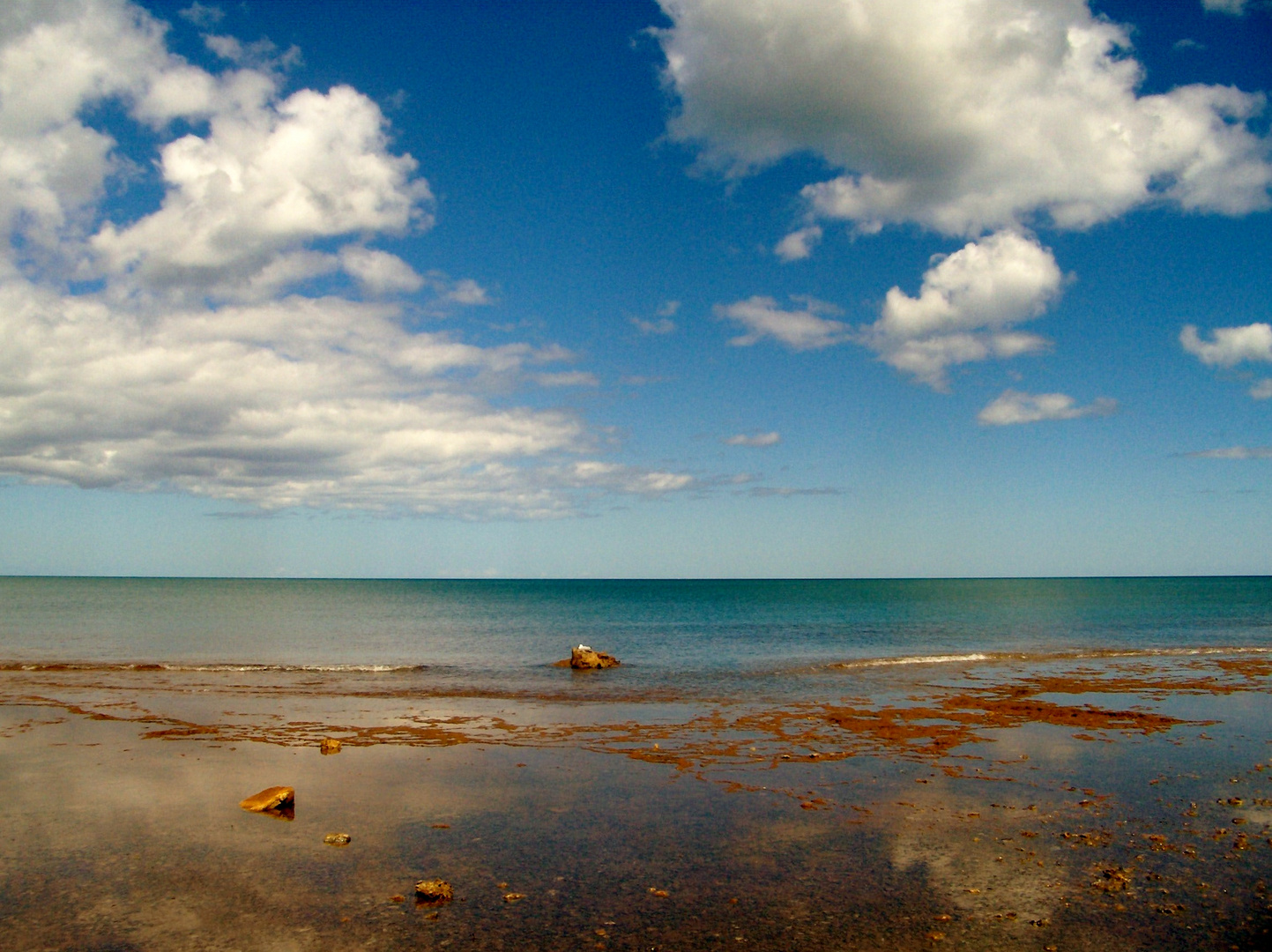 La marée basse à Plum