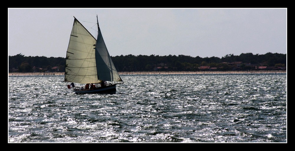 " La marine en bois "