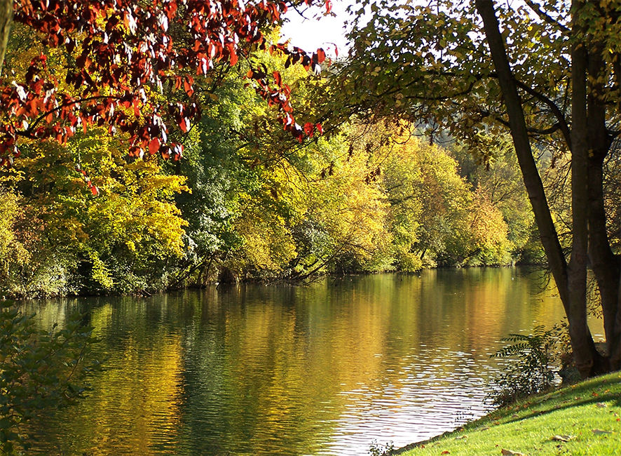 La Marne en automne