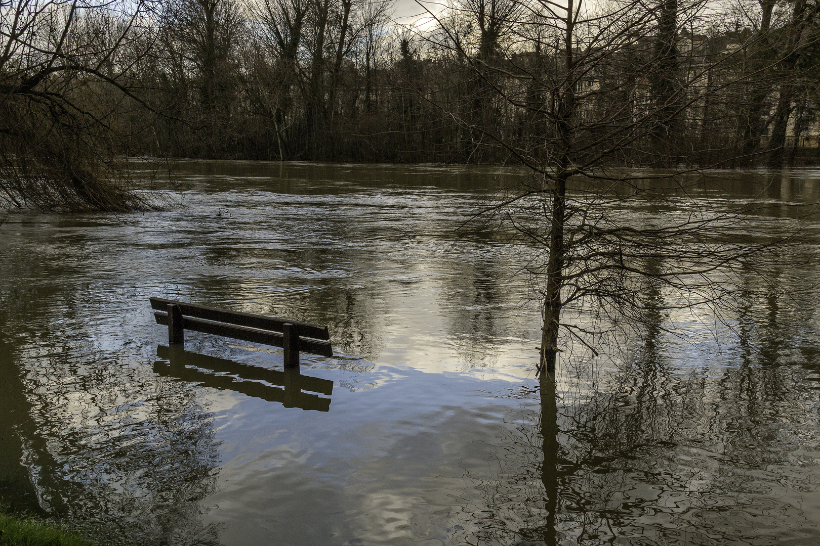 La Marne en crue 