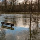 La Marne en crue 