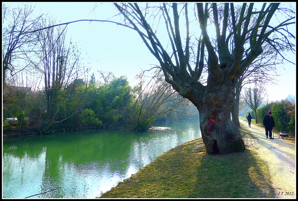 LA MARNE : Le bras du Chapitre à Créteil (Val-de-Marne)