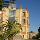 La maternité suisse d'Elne (Pyrénées Orientales), Havre de Paix au cœur de la guerre .