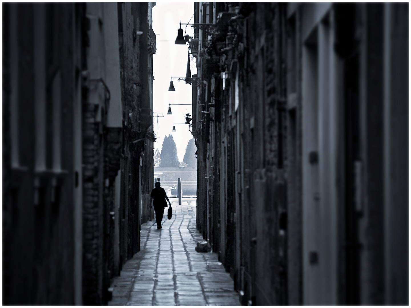 La mattina a Venezia