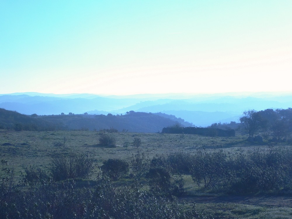 la mattina...alentejo