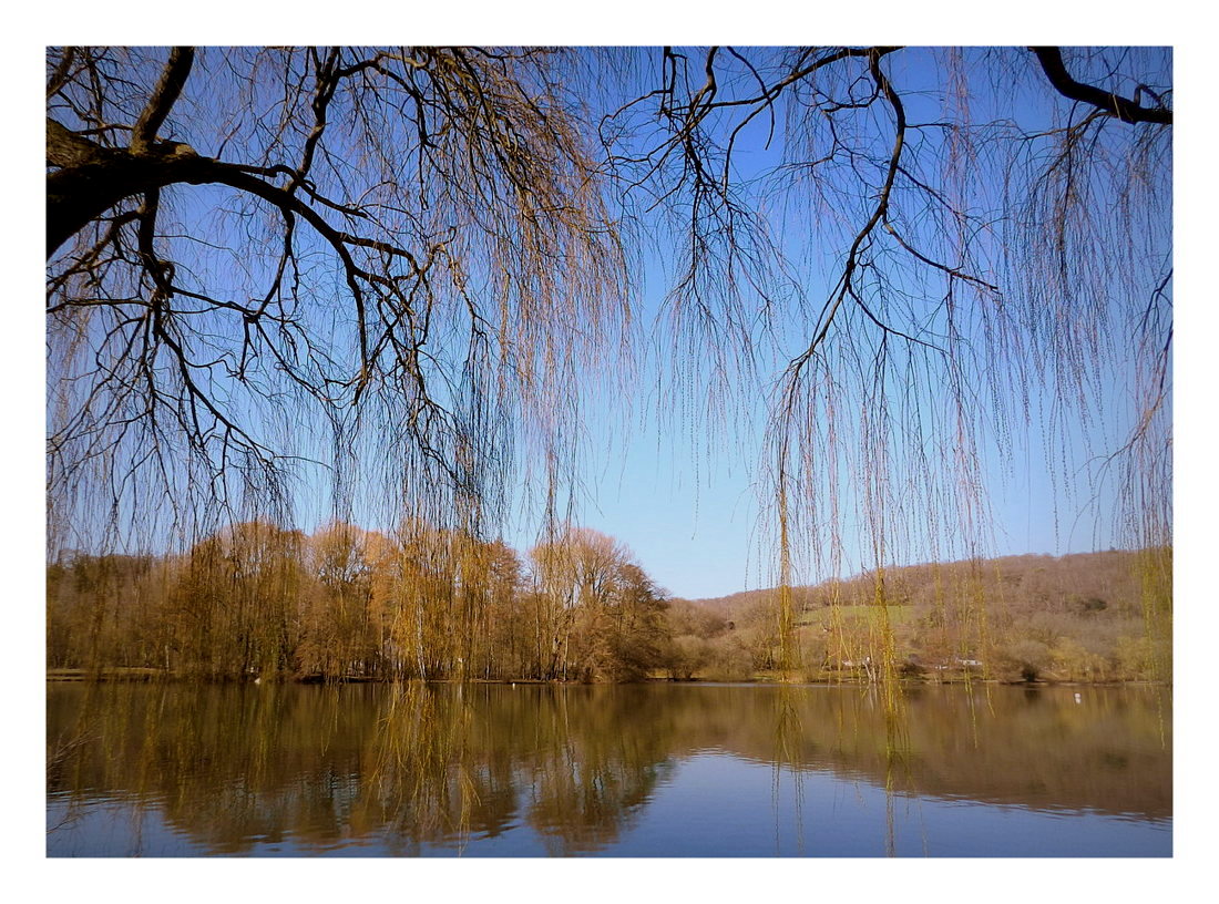 la mayenne