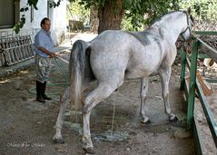 ...la meada de "Cariñoso"....