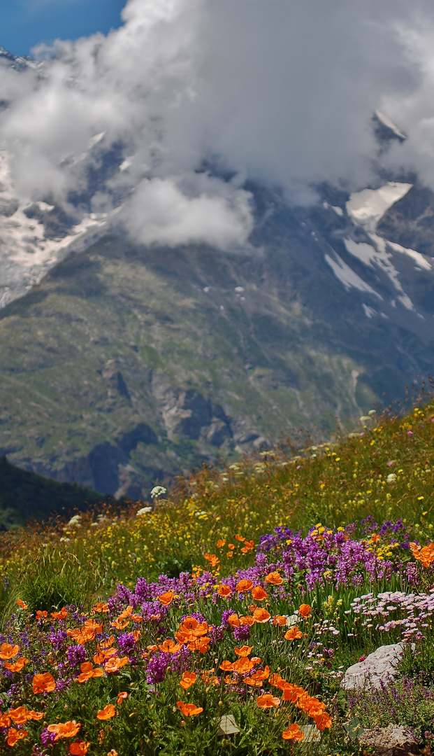 "la Meije" au Col du Lautaret