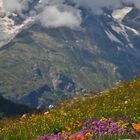 "la Meije" au Col du Lautaret