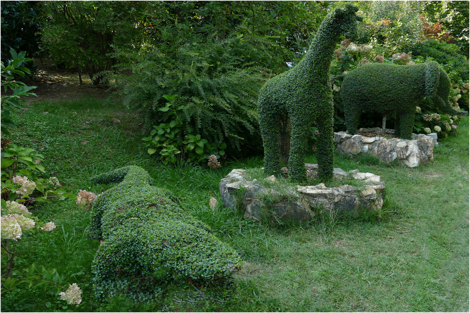 la ménagerie de " vert"......