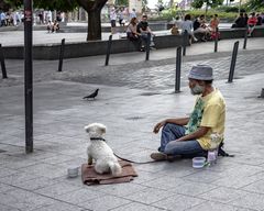 La mendicidad acompañada.