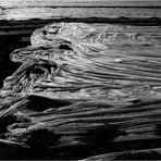 La mer