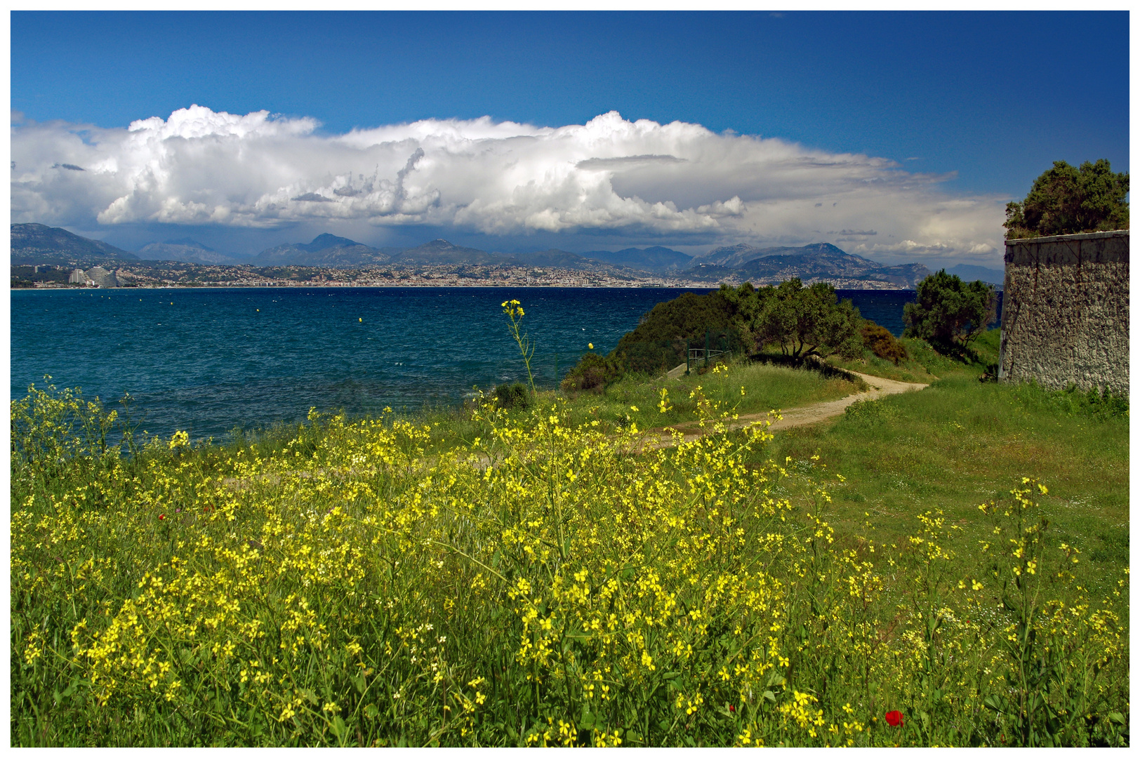 la mer à la campagne ....