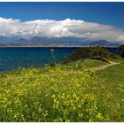 la mer à la campagne ....