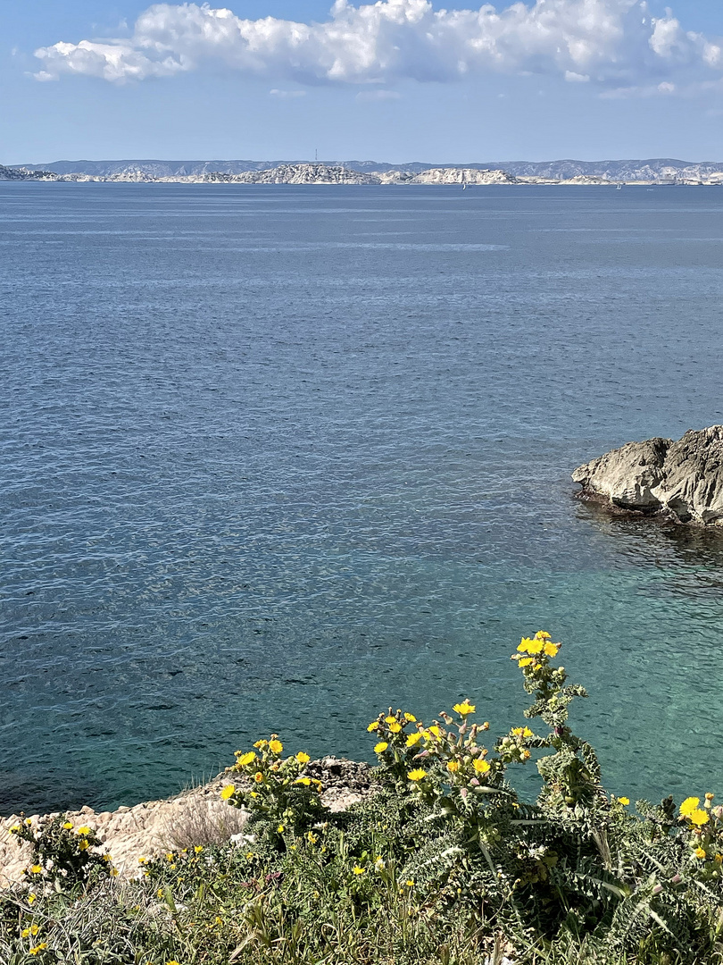 La mer aujourd'hui