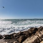 La mer aujourd'hui 