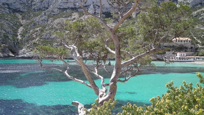 La mer des calanques marseillaises...