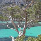 La mer des calanques marseillaises...