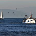 la mer des vacances et du travail ....