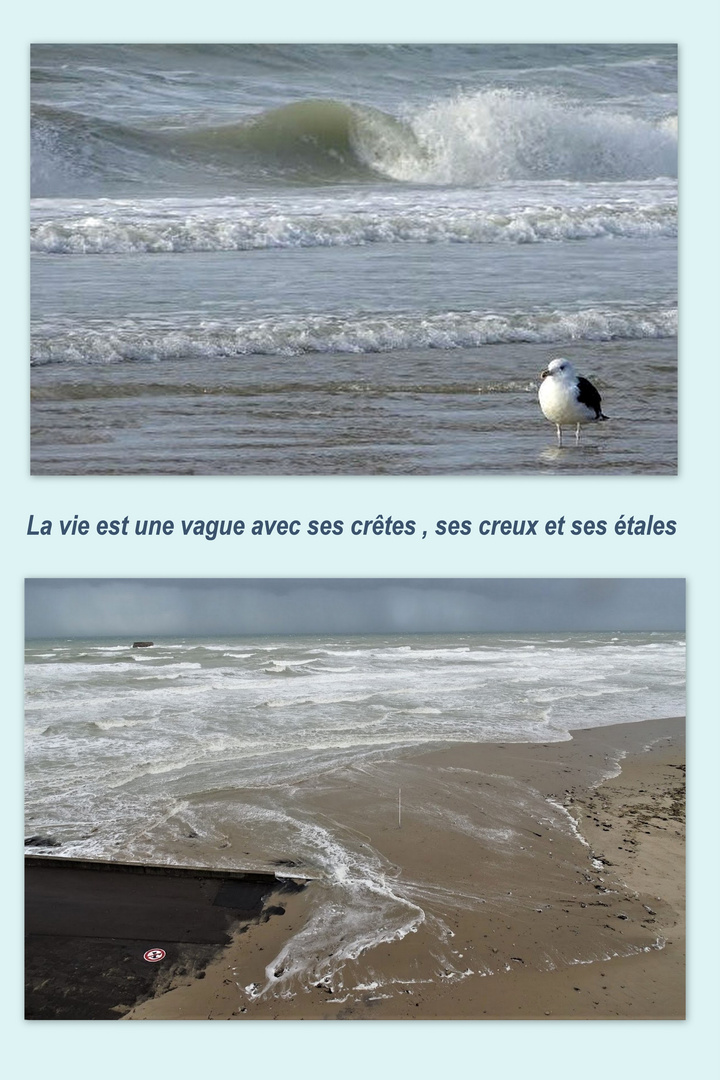 La mer et la vie