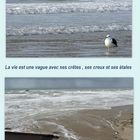 La mer et la vie