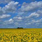 la mer jaune