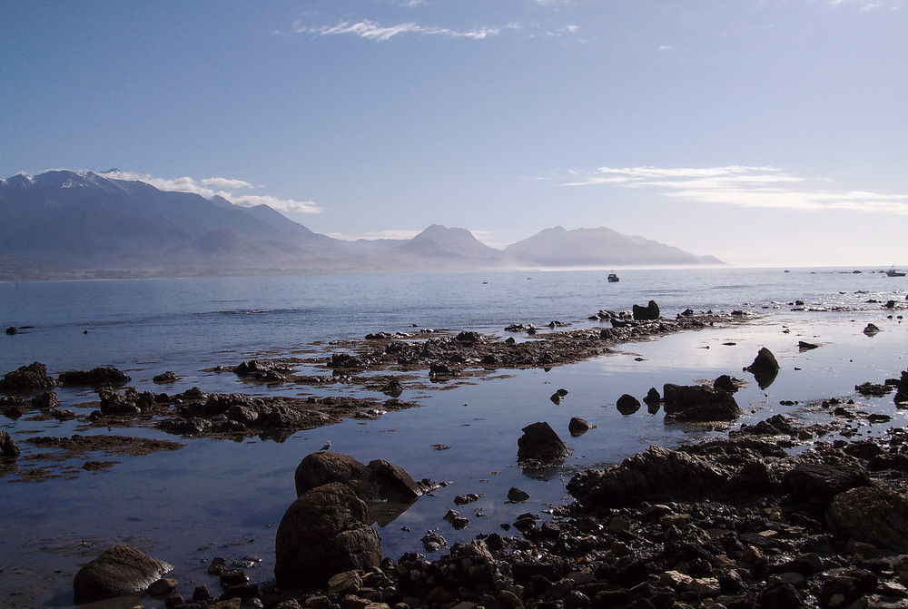 la mer le matin très tôt à Kaikura en Nouvelle Zelande