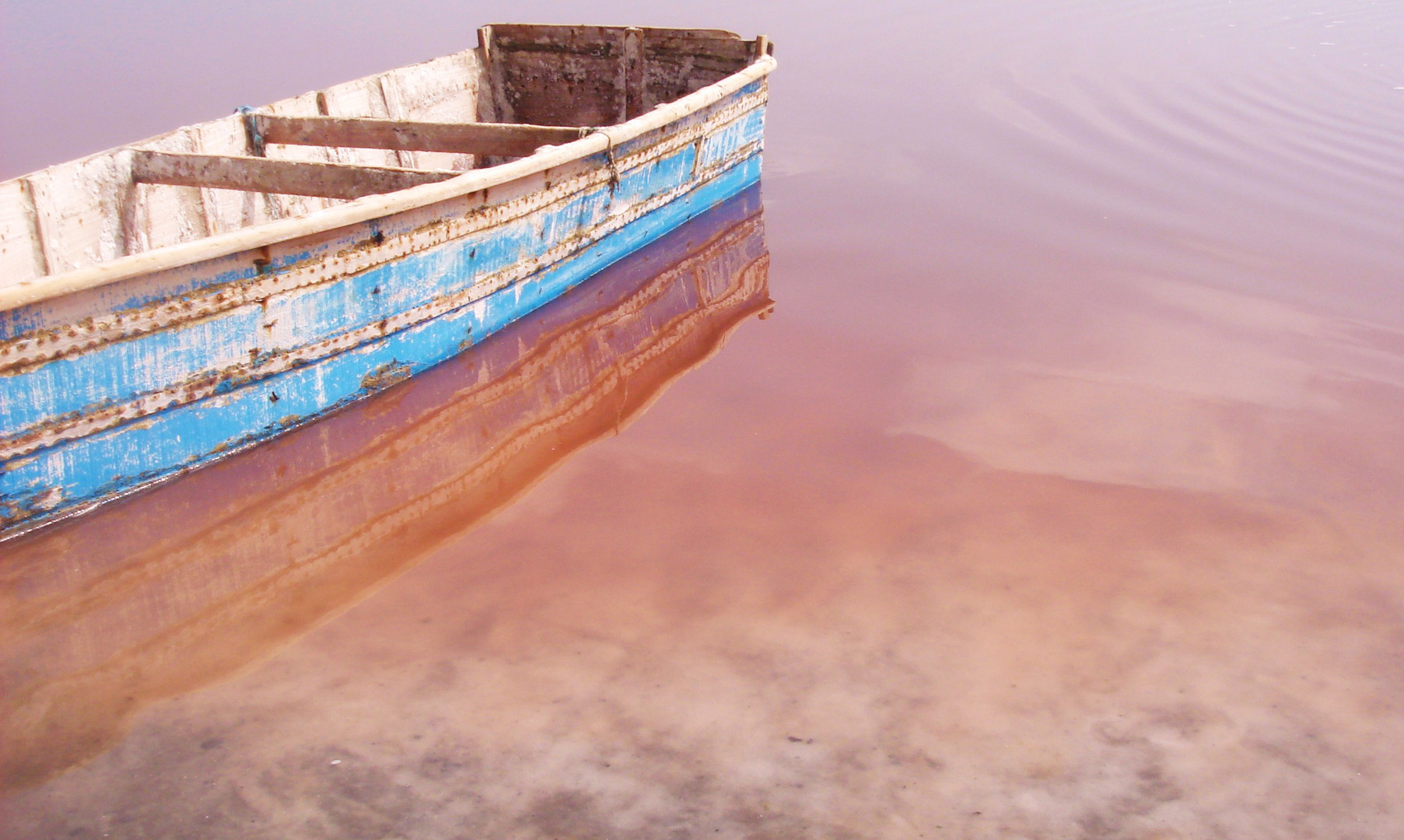 La mer rose, the pink sea