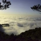 La mer sous la brume