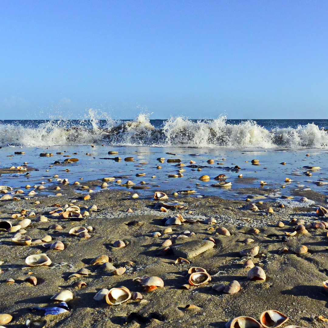 la mer  -  Utah Beach