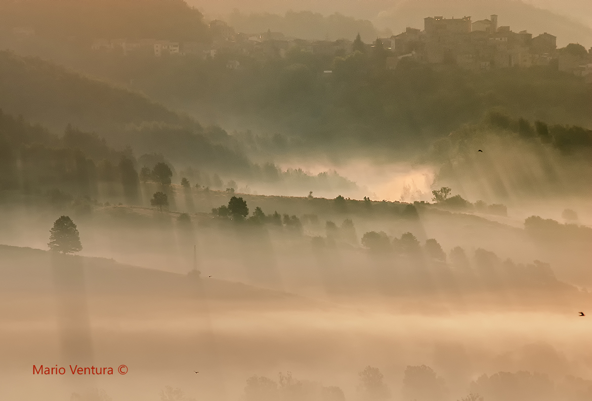 La meraviglia della natura....