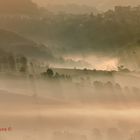 La meraviglia della natura....