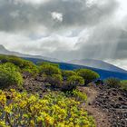  La Merica Hochebene - La Gomera