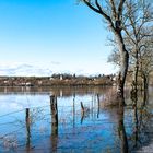 La Meuse sort de son lit (Ourche)