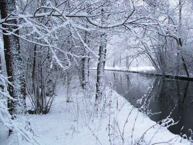 La mia citta' sotto la neve