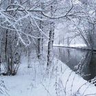 La mia citta' sotto la neve