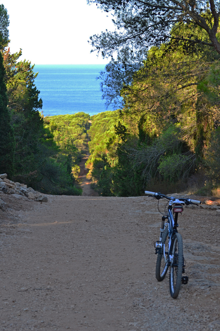 La mia estate...Bicicletta Porto selvaggio e Nidi d'arac