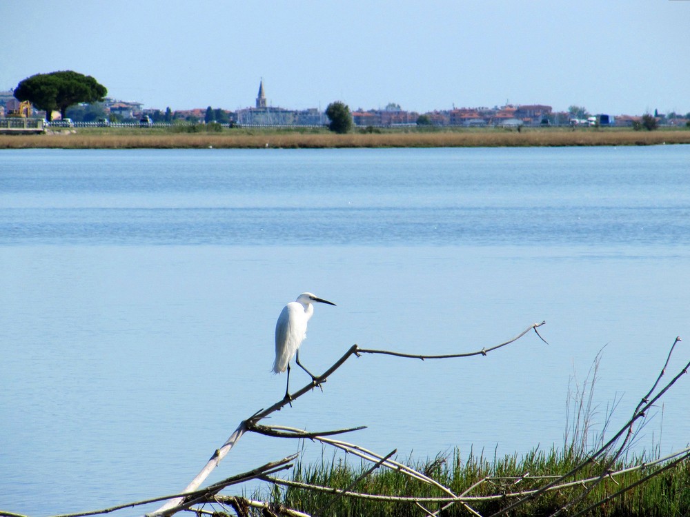 La "mia" laguna