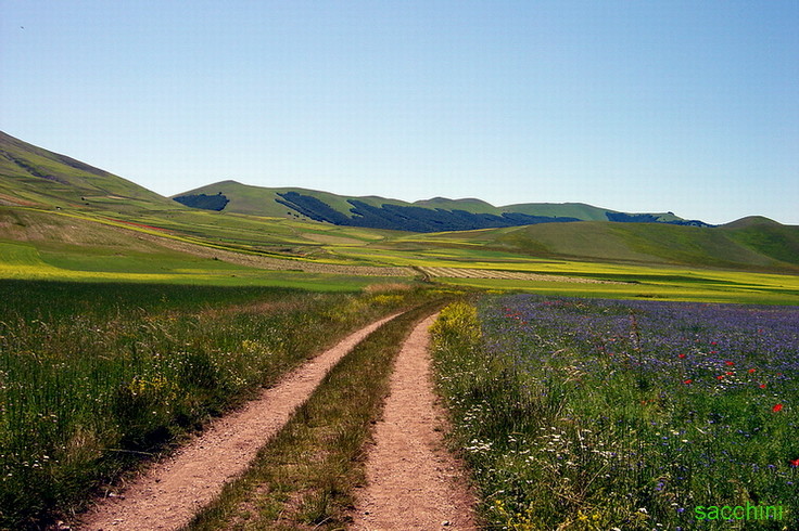 La mia strada