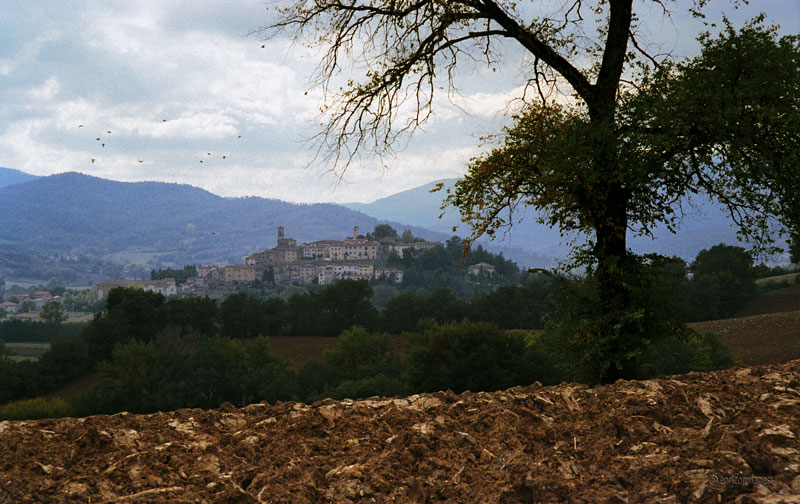 "La mia terra"