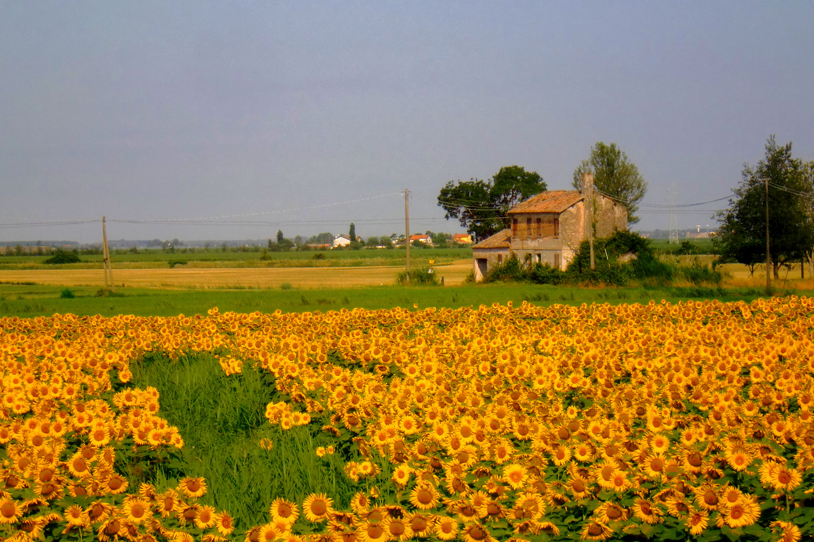 LA MIA TERRA DORATA